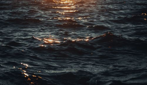 Free Capture of gentle ocean waves reflecting golden sunlight at sunset. Stock Photo