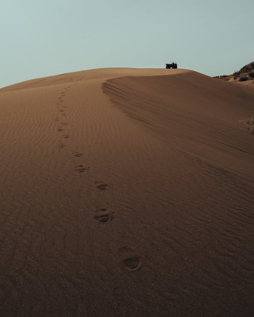 Clear Sky over Buggy on Dune