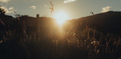 側面, 天空, 太陽 的 免费素材图片