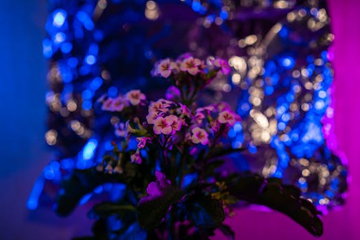 Close-up of a flower with neon blue and pink bokeh lights in a dark, artistic setting.