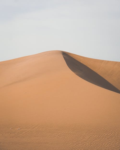 Dune on Desert