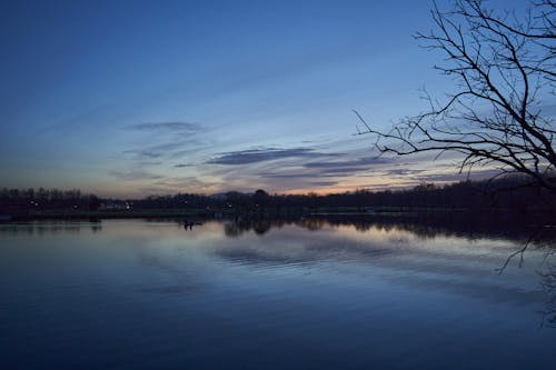 Free stock photo of human, lake, landscape