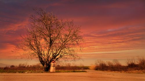 Free stock photo of back road, beautiful sunset, bright sun Stock Photo