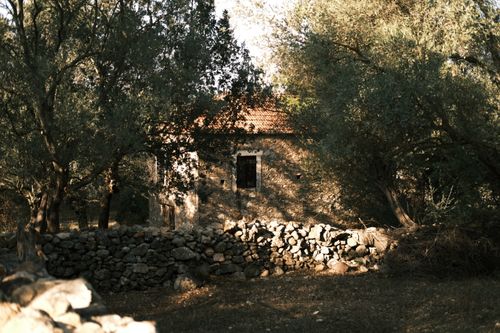 Free Old stone house surrounded by lush trees and a rugged rock wall, perfect for nature lovers. Stock Photo