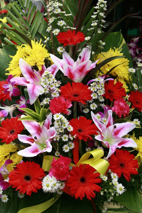 Free A Beautiful Flower Arrangement in Close-up Shot Stock Photo