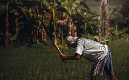 Free A farmer working with traditional tools in a lush green field in Bali, Indonesia. Stock Photo