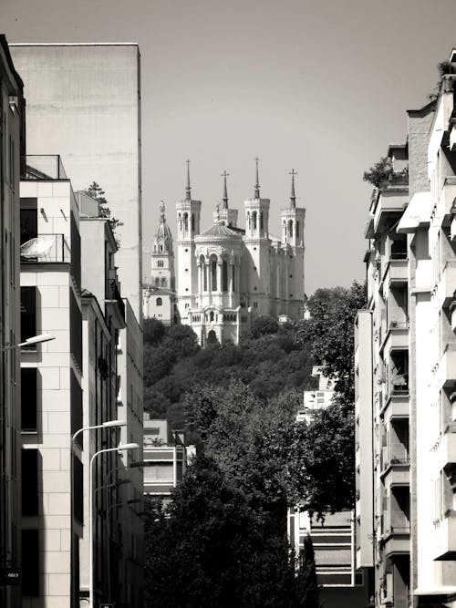 Základová fotografie zdarma na téma architektura, budovy, černobílý