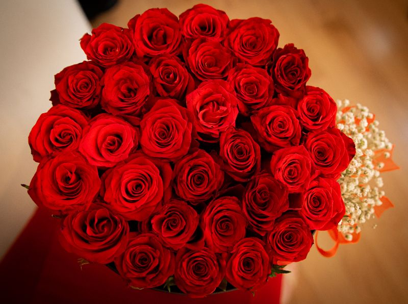 Fresh Roses