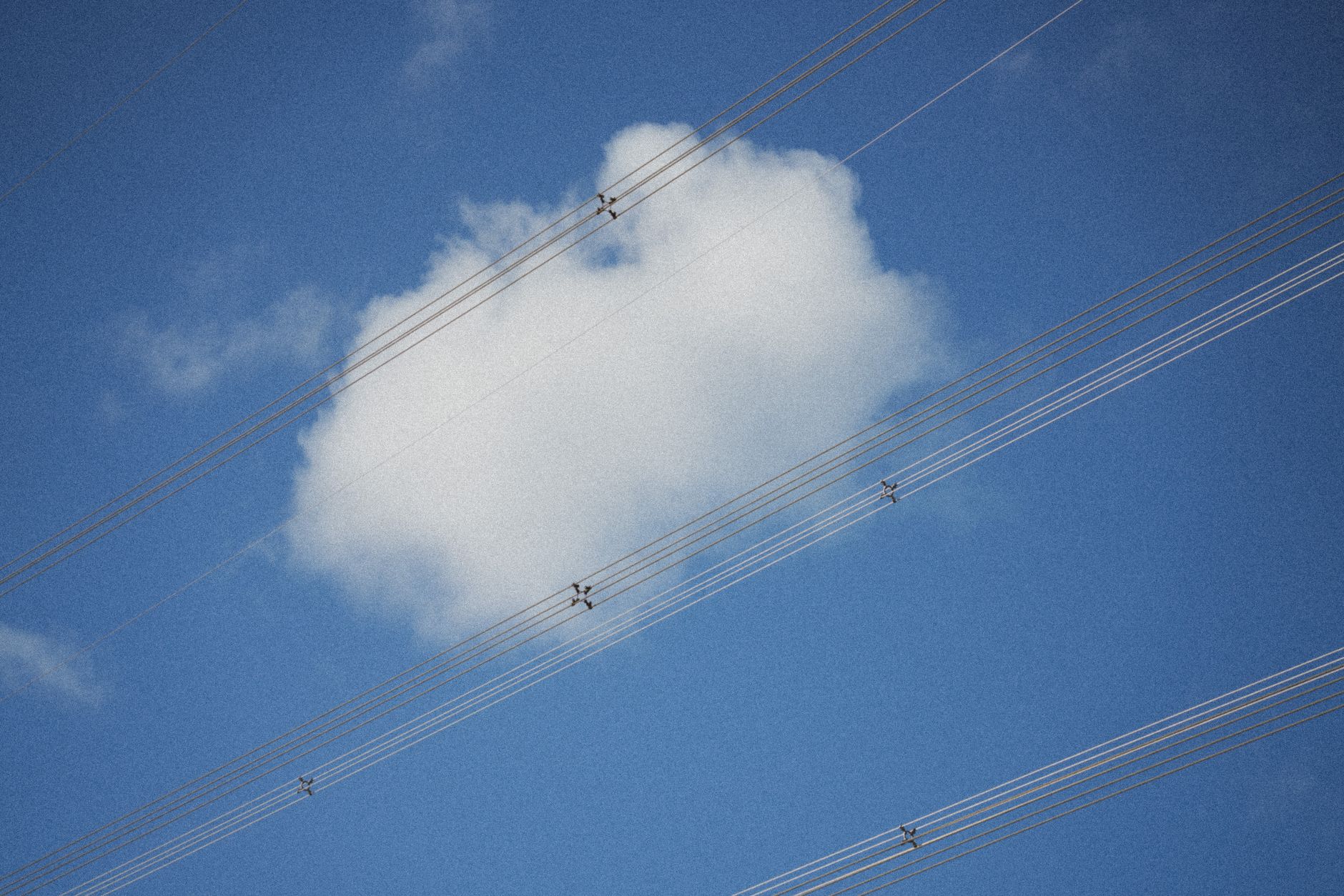 A set of power lines crossing a bright blue sky with a single white cloud.