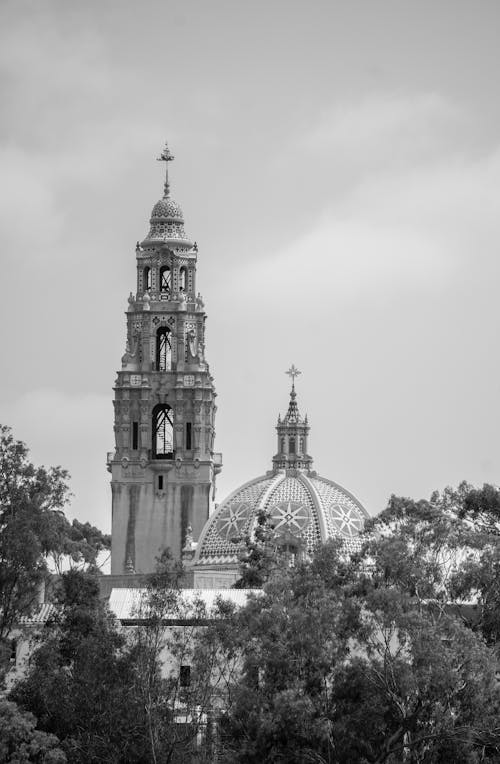 Foto profissional grátis de árvores, cidade, cidades