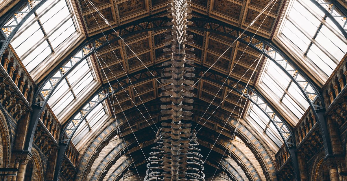 El recorrido por los museos más populares del mundo a lo largo del tiempo El recorrido por los museos más populares del mundo a lo largo del tiempo