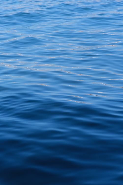Free A calming, peaceful view of blue water surface with gentle waves and reflections. Stock Photo