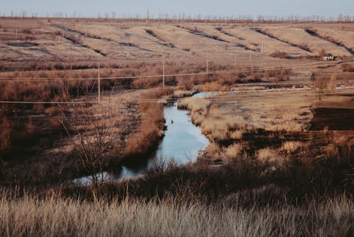 A River between Grassy Field