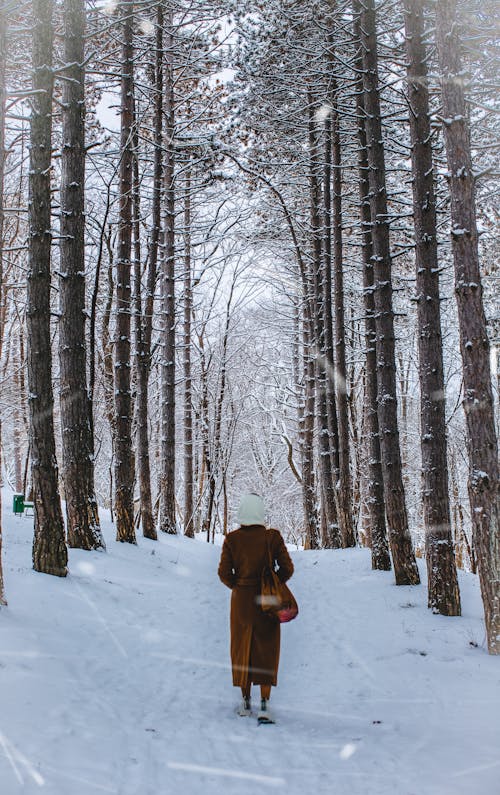 Person Walking on Snow Covered Ground