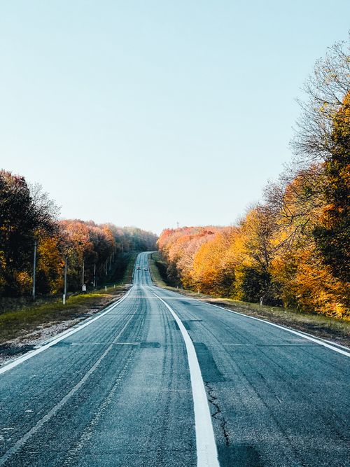 Free Serene rural road surrounded by vibrant autumn trees, perfect for travel and nature themes. Stock Photo