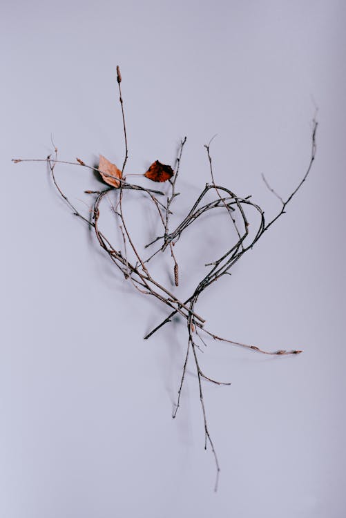 Branch in Heart Pattern