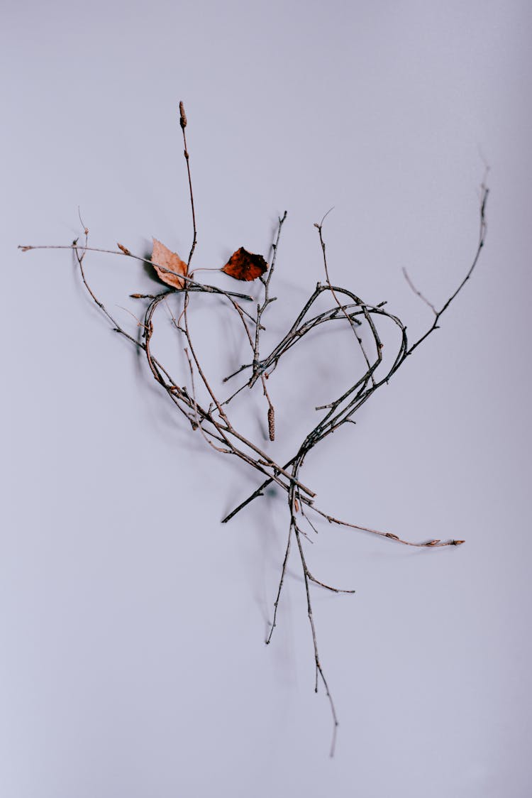 Branch In Heart Pattern