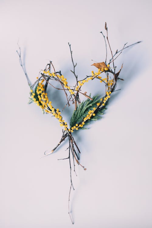 Branch and Leaves in Heart Pattern