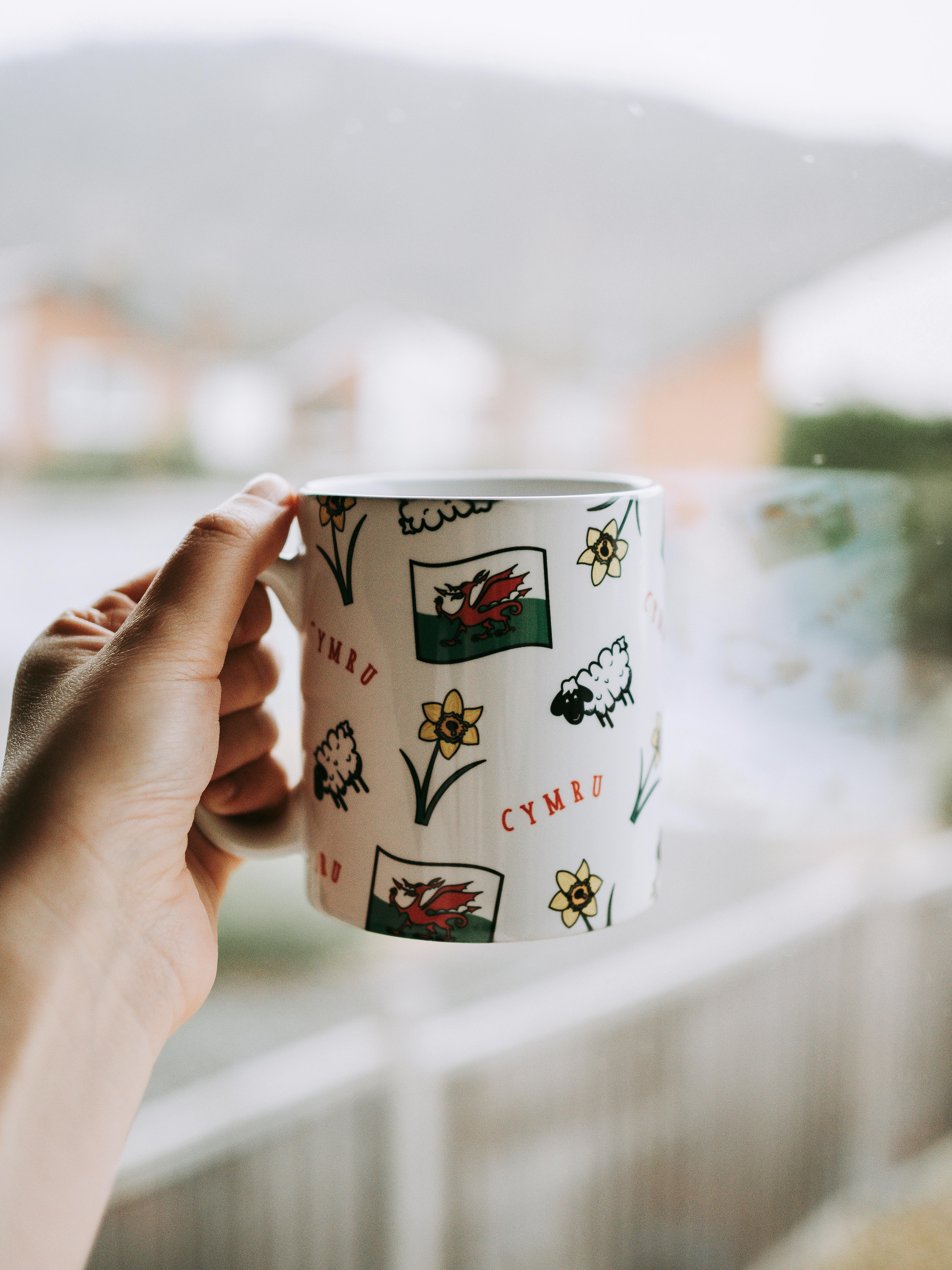 Person holding a Welsh themed mug by a window with a view of a blurred garden.