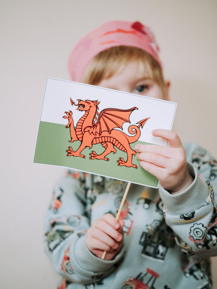 Child Holding Welsh Flag