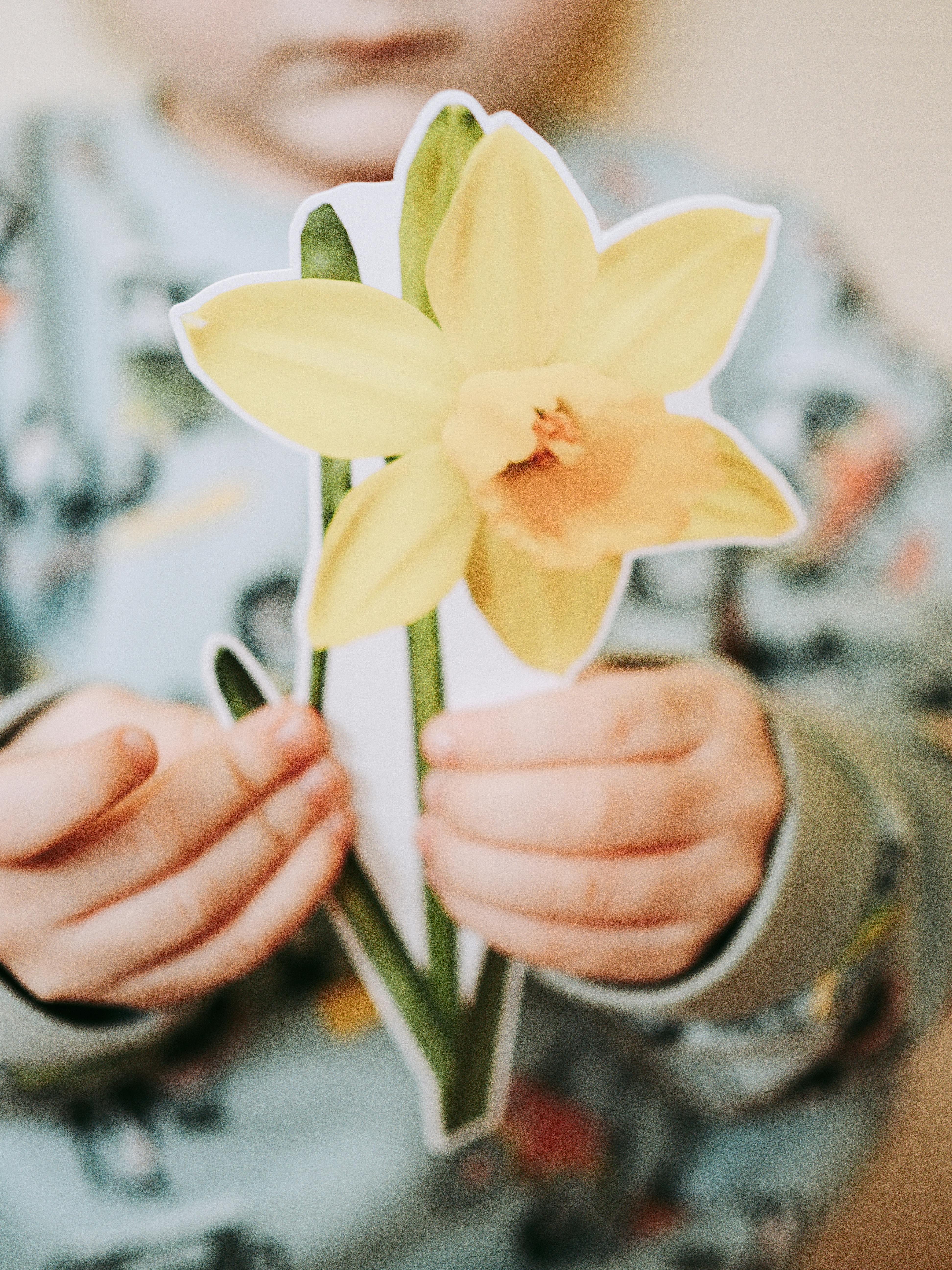A close-up of a child's hands holding a paper cut-out of a daffodil flower.