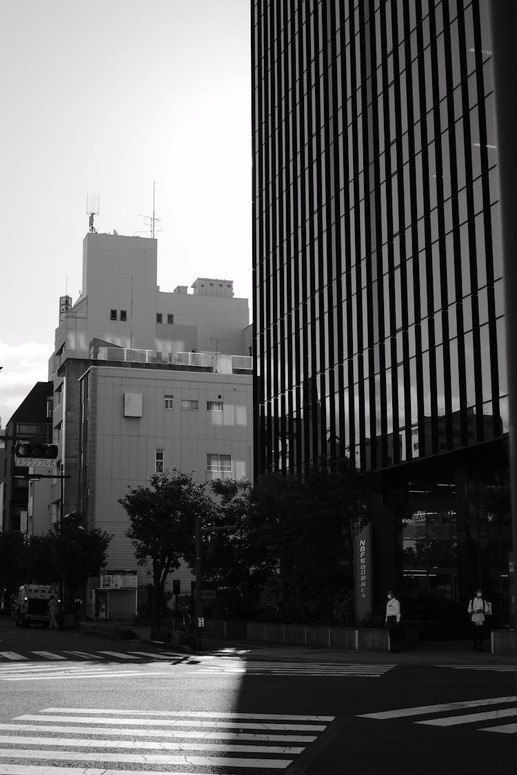 Zebra Crossings In City