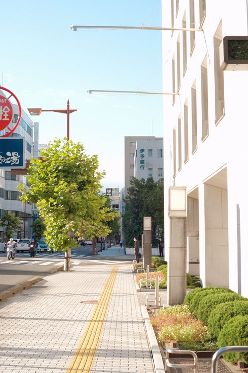 Free Sunny day on a city sidewalk with trees and modern buildings. Stock Photo