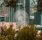 Ferris Wheel Near Buildings