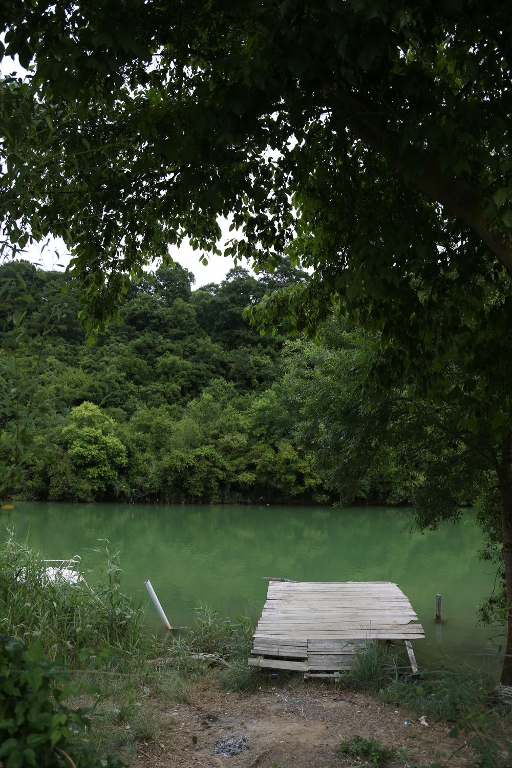 Wooden boat dock extending onto a quiet lake