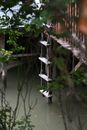 A Wooden Ladder of a Floating House