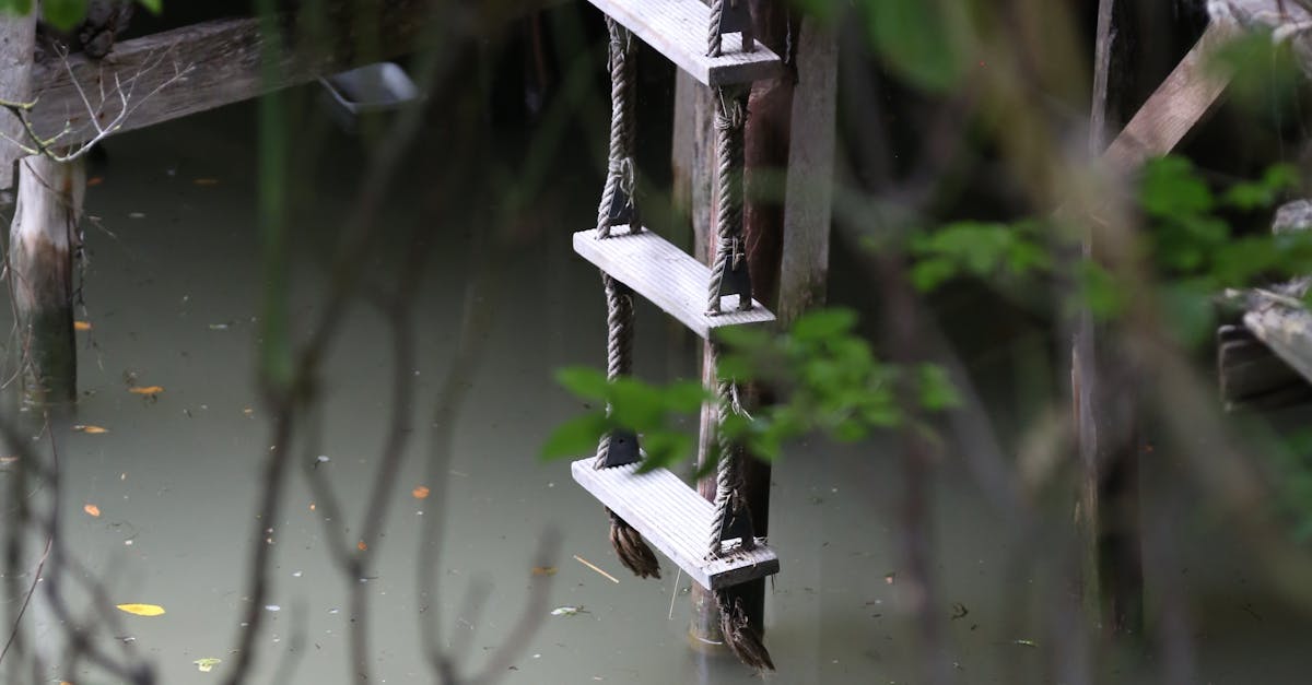 Ladder Hanging over Lake · Free Stock Photo