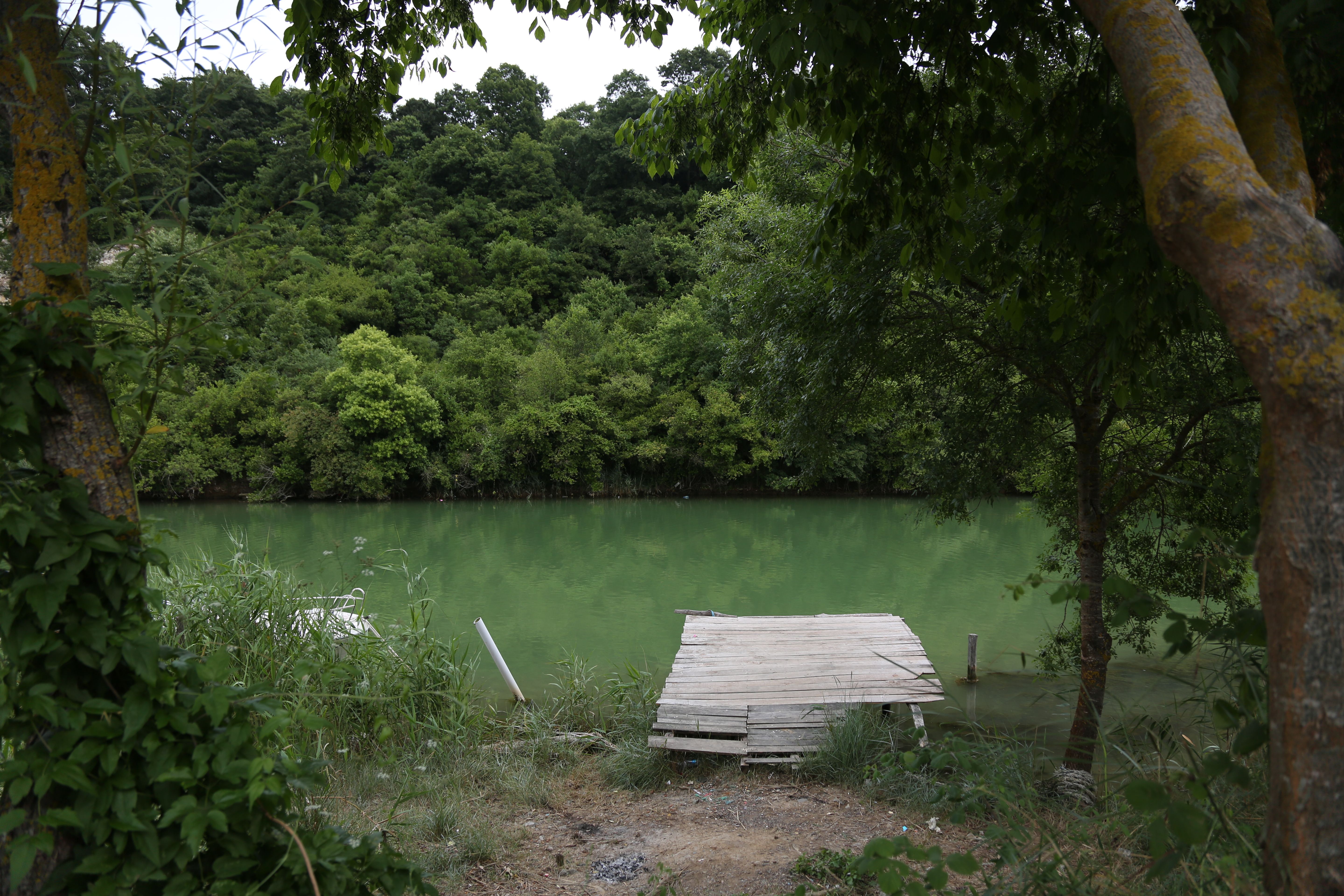 Wooden Dock on Body of Water · Free Stock Photo