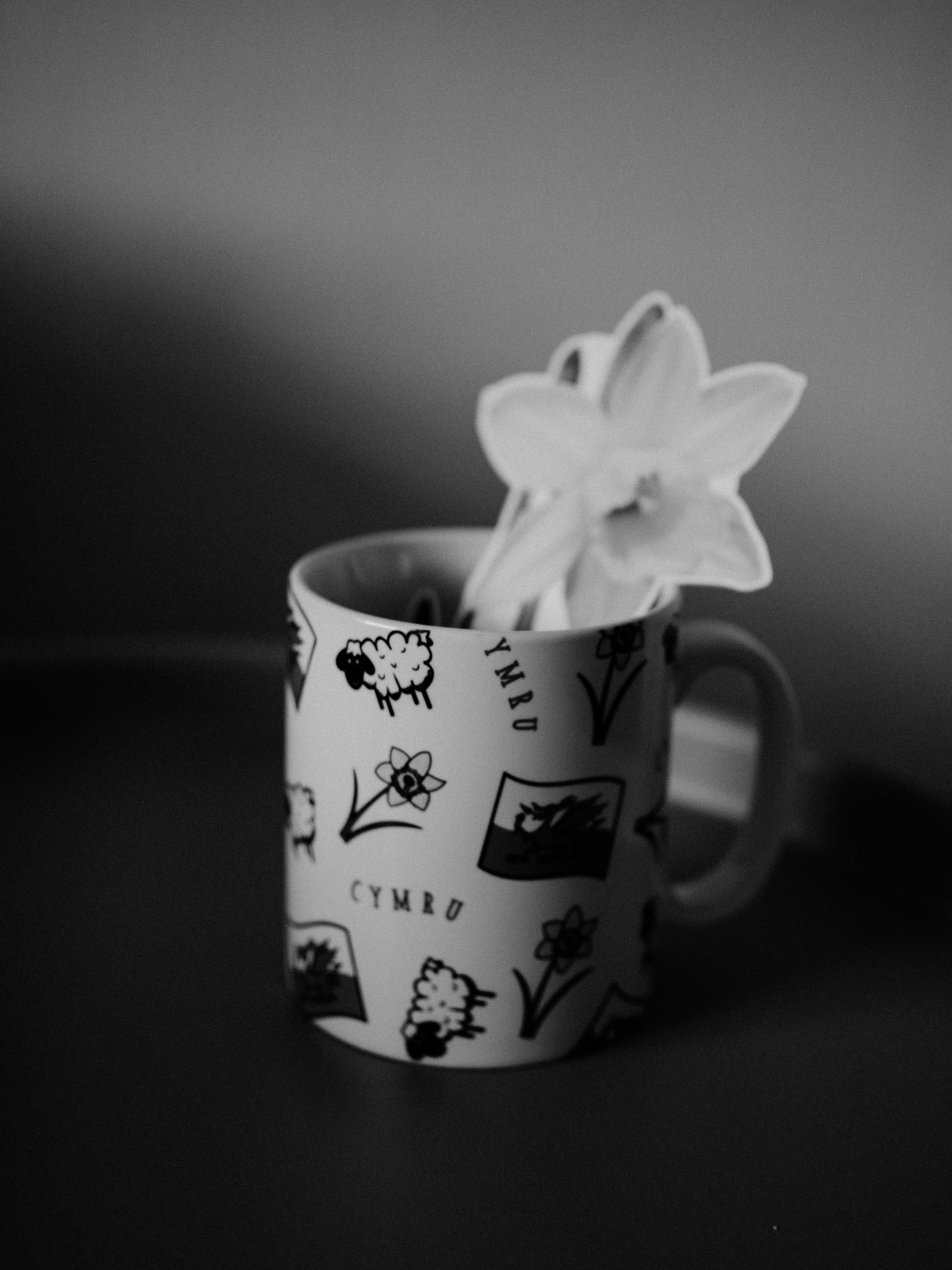 Stylish black-and-white ceramic mug featuring a daffodil flower in grayscale.