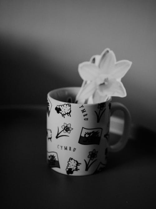 Free Monochrome Photo of a Flower in a Ceramic Mug Stock Photo