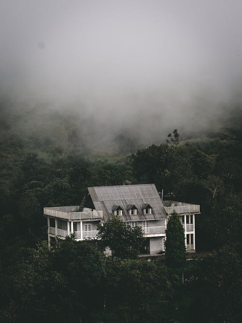 A House in the Mountain Forest