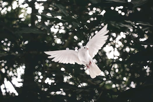 Unbreakable Wings Forged in Silent Storms