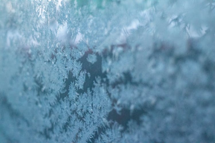 Frost On Window Pane