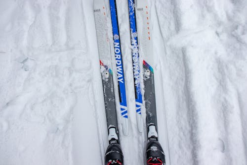 Fotobanka s bezplatnými fotkami na tému chladný, lyže, lyžiar