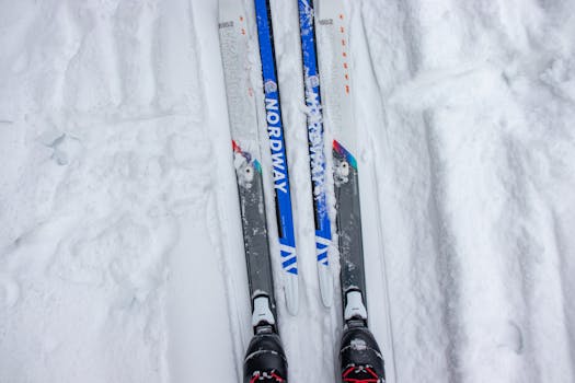 Top view of cross-country skis on a snowy trail in a winter setting, perfect for outdoor sports enthusiasts.