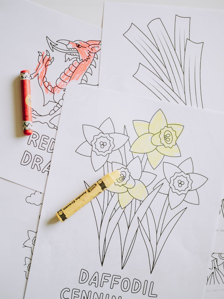 Coloring Pages For Children Partly Colored
