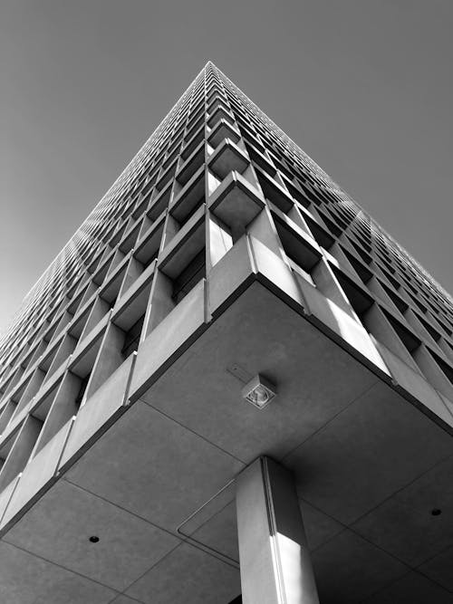 Free A Grayscale of a Modernly Designed Building Stock Photo