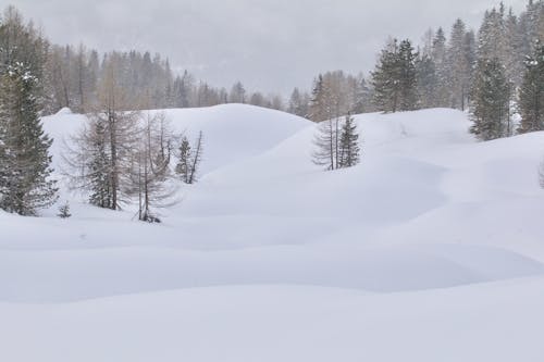 Gratis stockfoto met hellingen, ijzig, kou