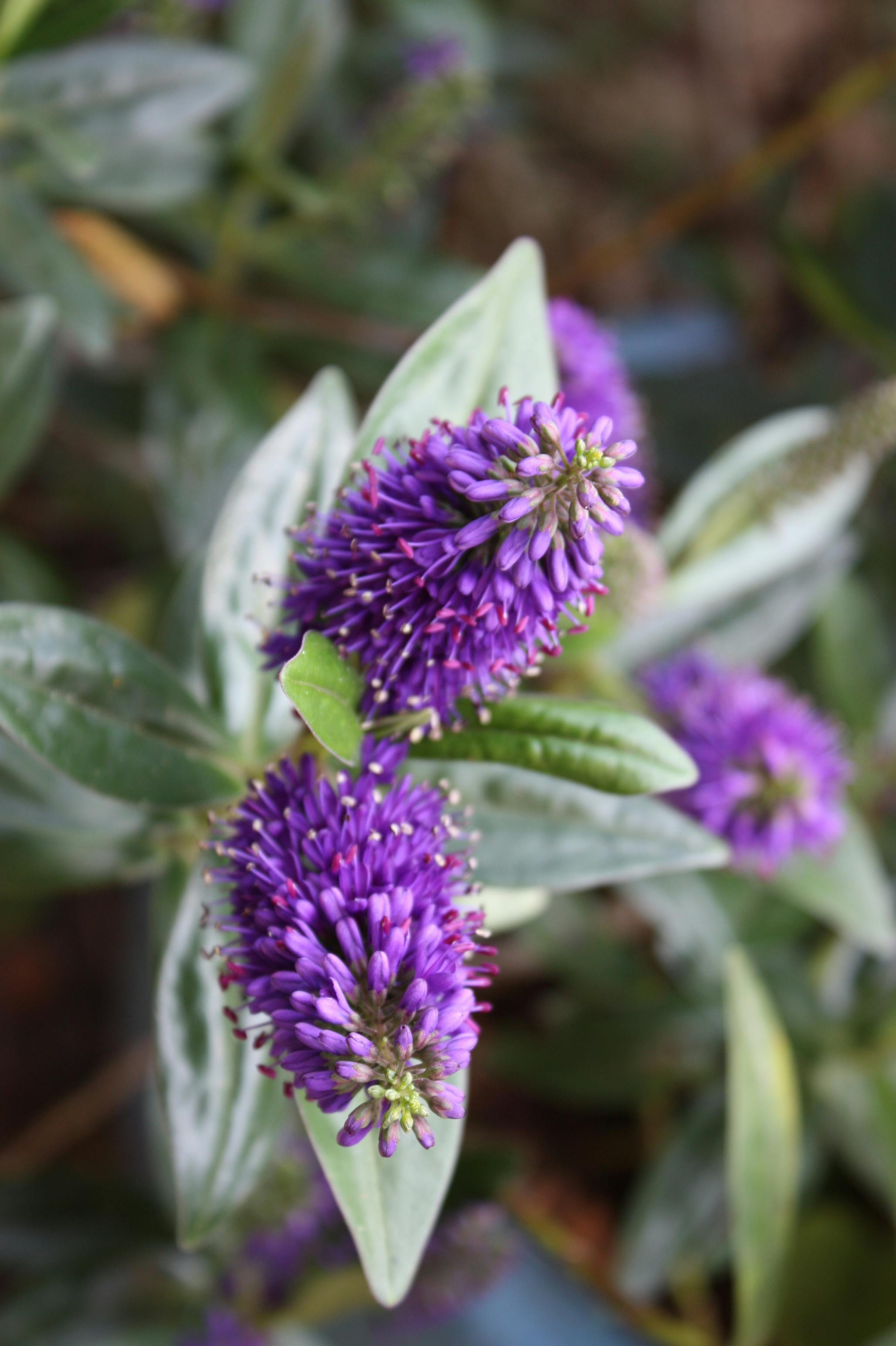 バイテレク・タワー