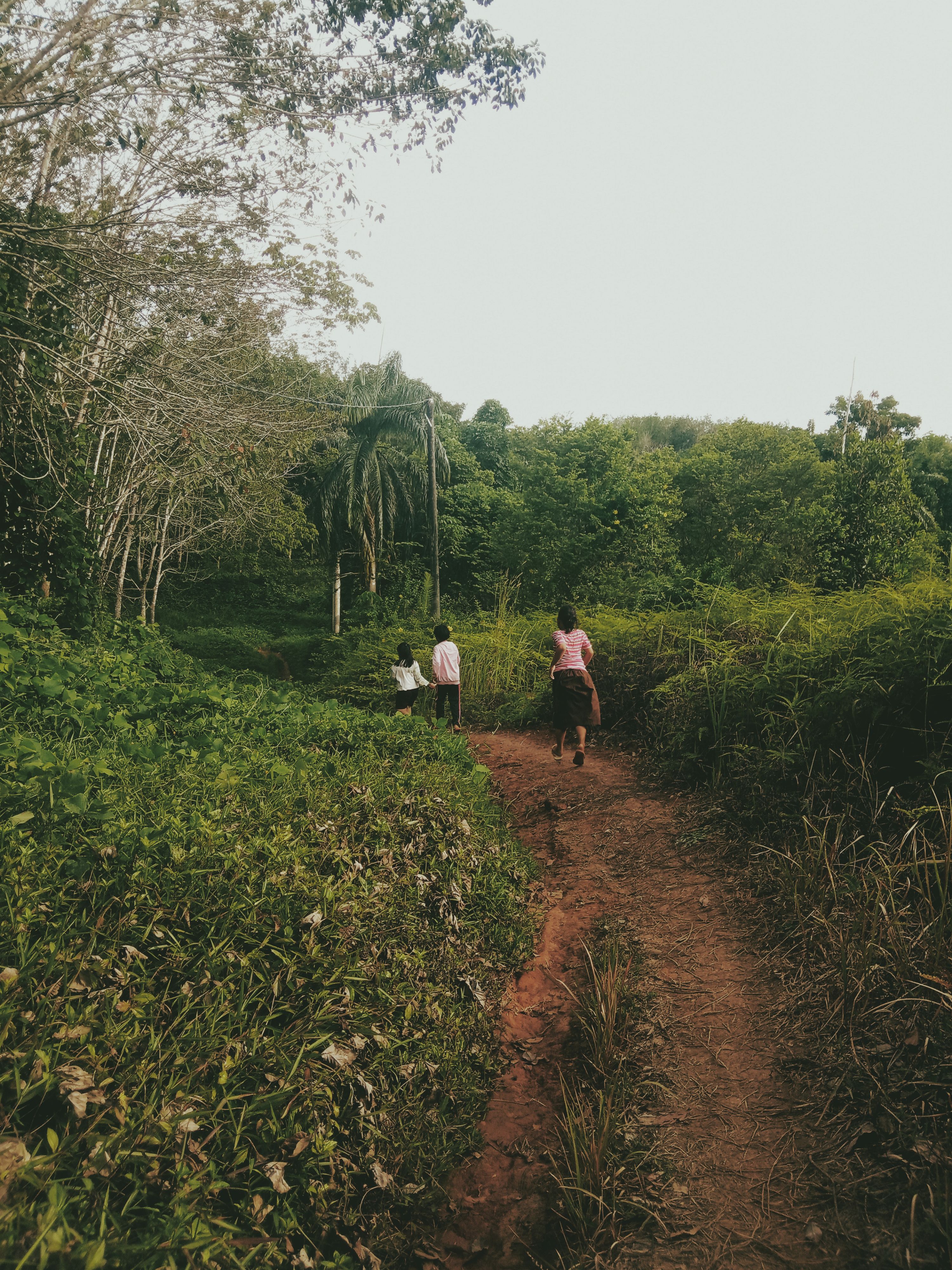 Girls Walking on an Unpaved Pathway