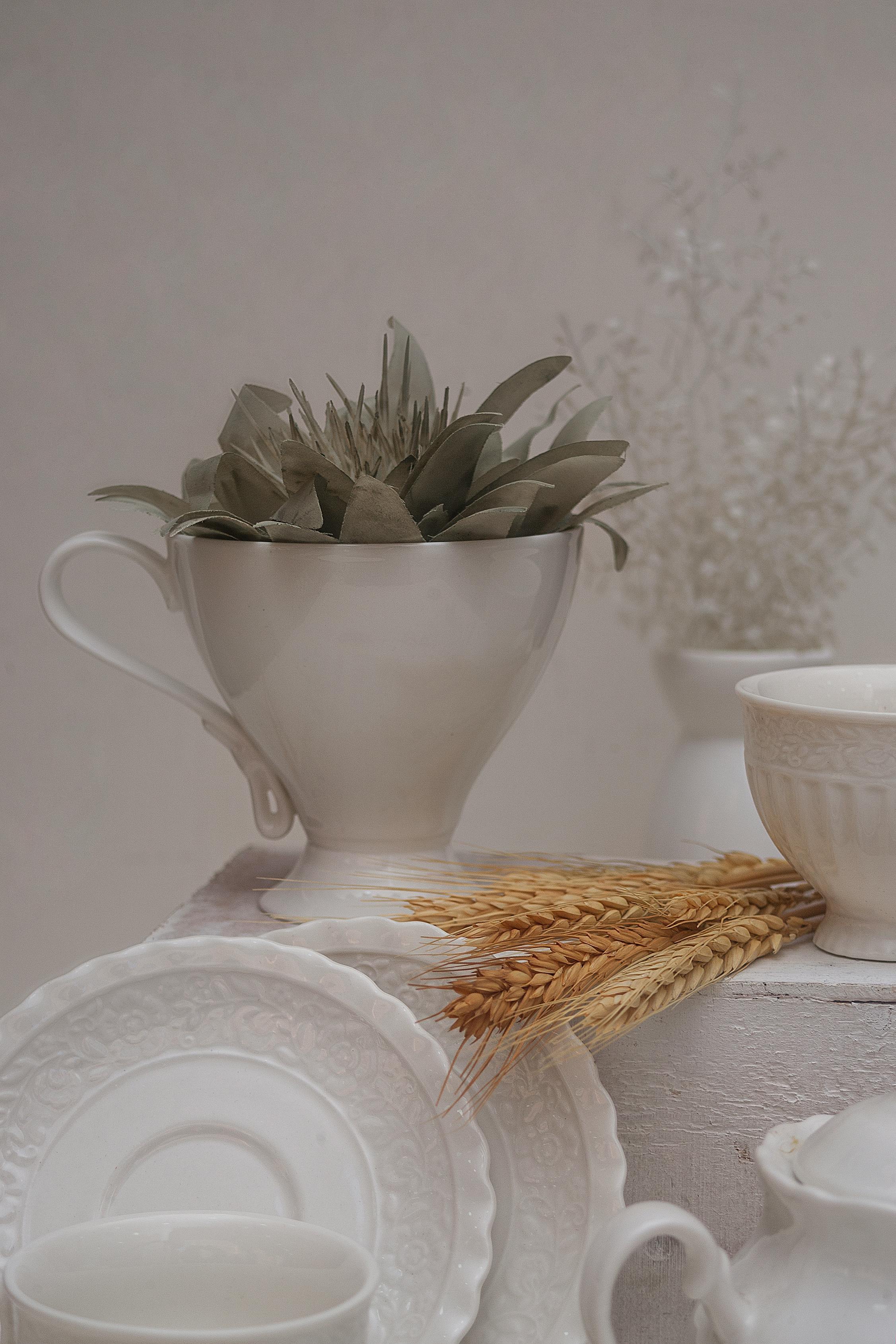 white ceramic pitcher on white ceramic plate