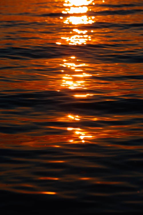 Reflection of the Sunset in the Water