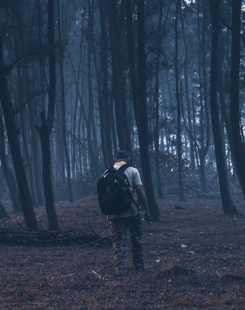 A Backpacker Walking in the Middle of the Woods with Tall trees