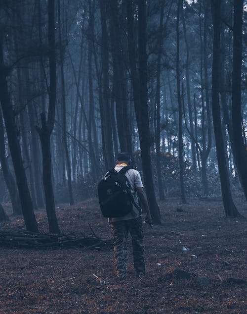 Δωρεάν στοκ φωτογραφιών με backpacker, δασικός, κατακόρυφη λήψη