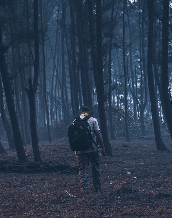 A Backpacker Walking in the Middle of the Woods with Tall trees