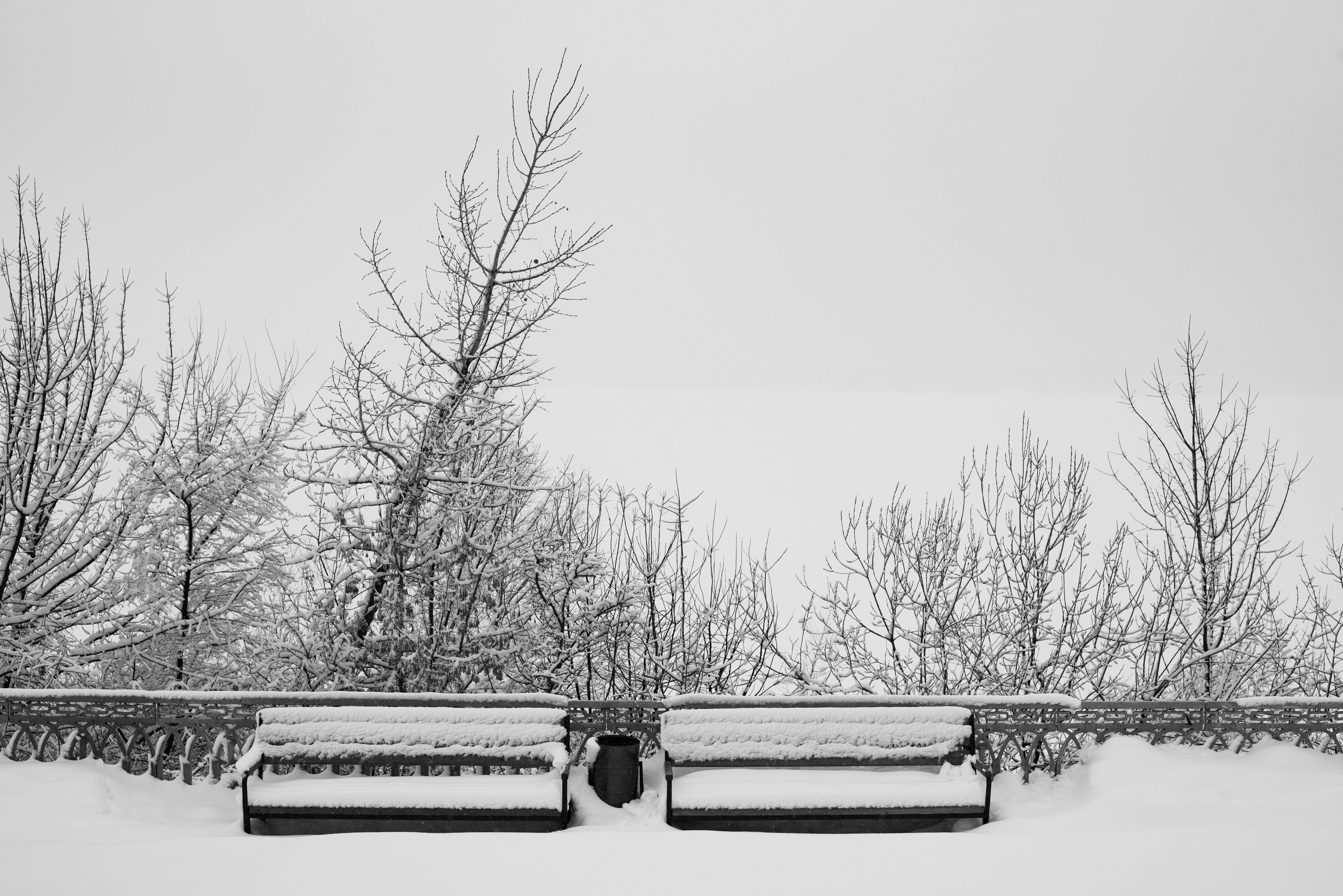 Snow-covered benches and bare trees in a tranquil winter park in Naberezhnye Chelny, Russia.